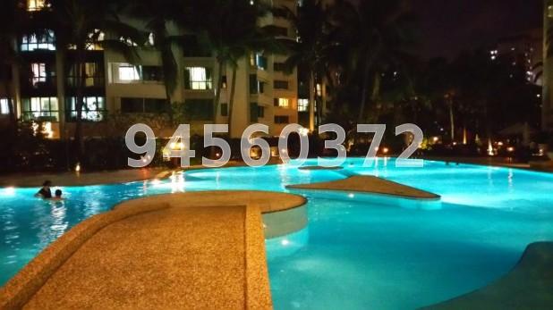 Palm Gardens (D23), Condominium #71883161